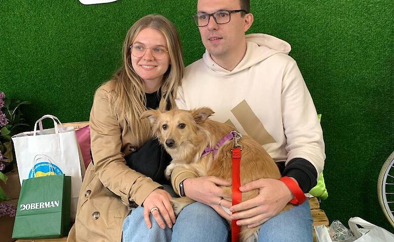 Собачки из приюта на Обуховщине нашли в Киеве новые семьи