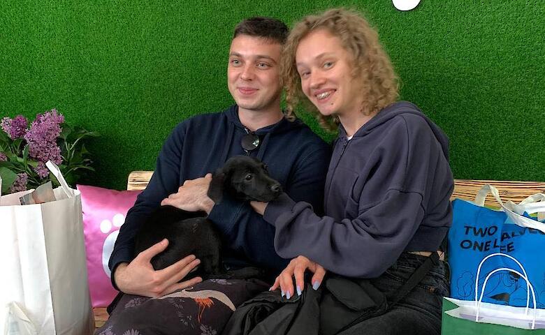 Собачки из приюта на Обуховщине нашли в Киеве новые семьи