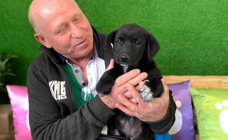 Собачки из приюта на Обуховщине нашли в Киеве новые семьи