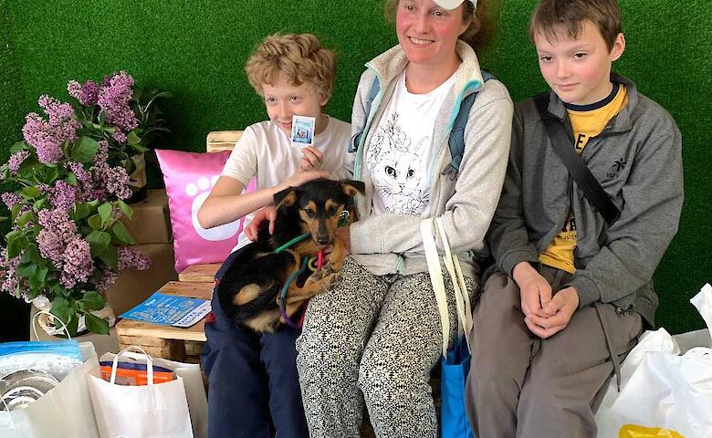 Собачки из приюта на Обуховщине нашли в Киеве новые семьи