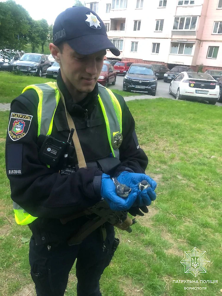 "Птичку жалко": на Київщині патруль врятував 2-х пуцьвірінків