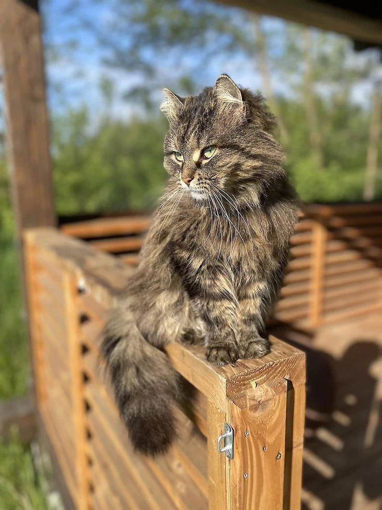 Экопространство "Писанка" - малоизвестная жемчужина внутреннего туризма Обуховского края