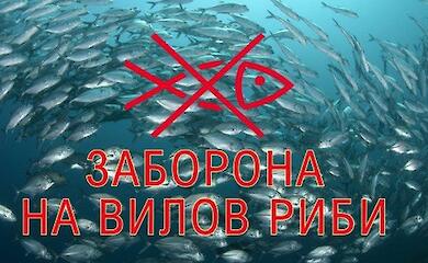 Очередного браконьера задержали вблизи Триполья