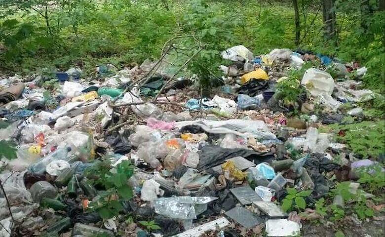 15 стихийных свалок обнаружили в Ржищевской общине