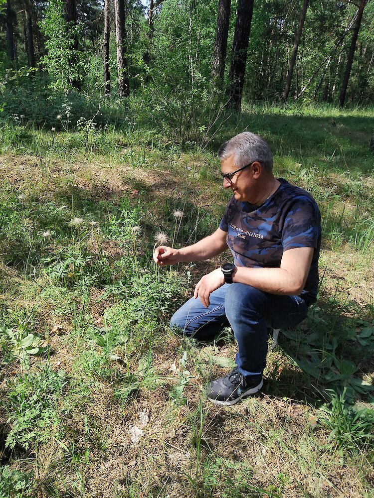 У Києві знайшли галявину з чарівною рослиною