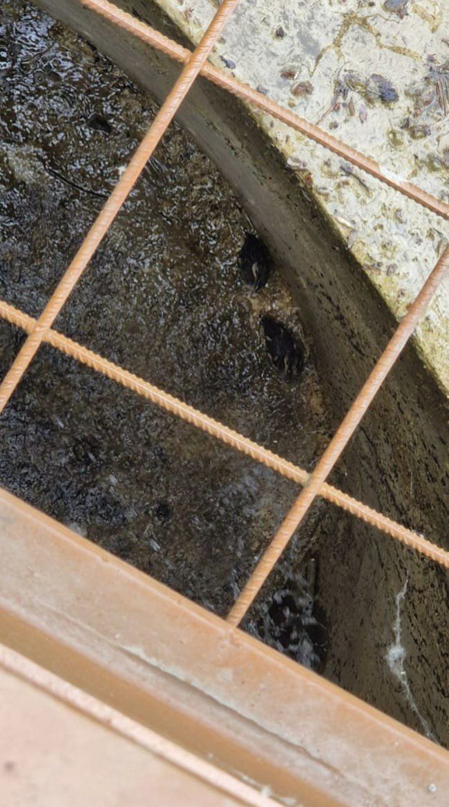 Упали в гидротехническое сооружение: кого спасли неравнодушные в Киеве