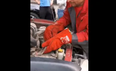 У Києві під капотом авто знайшли гадюку: як вона туди потрапила