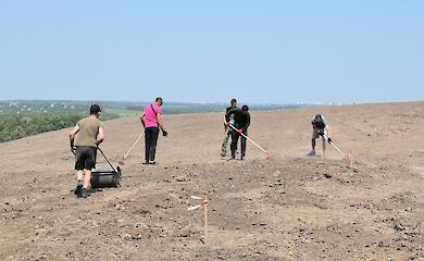 Вместо вони: первый участок полигона в Подгорцах начали засевать полевыми растениями