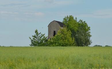 Заброшенная старинная ветряная мельница - визитная карточка живописного села на Обуховщине