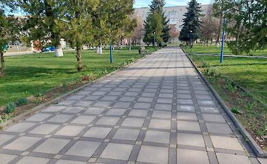В Богуславі тривають роботи над облаштуванням майбутньої Алеї Слави Героям