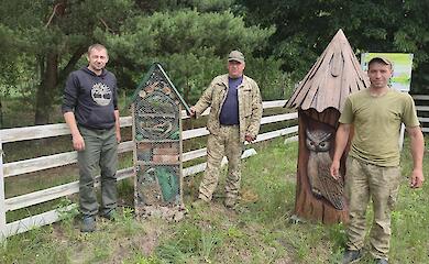 В заповеднике на Полесье создали домики для насекомых