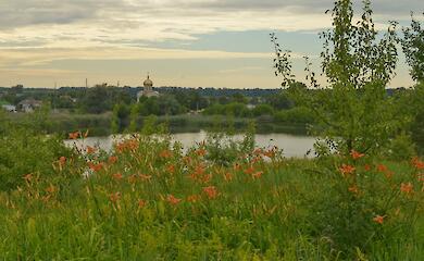 Древнерусское городище в селе возле Мироновки поражает цветущим разнотравьем