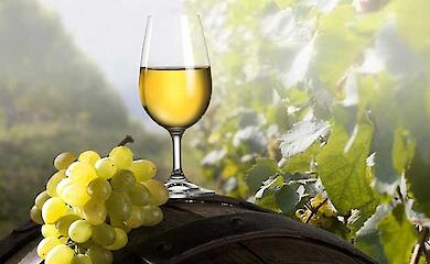 Вино из Обуховского района получило награду на Decanter World Wine Awards