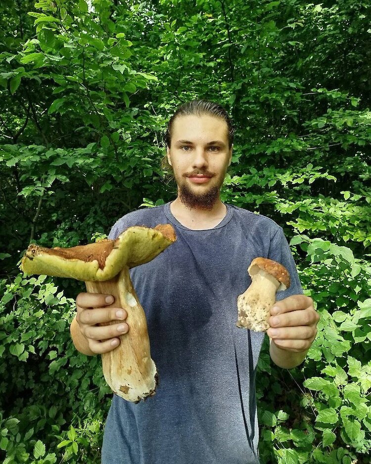 Огромного белого гриба нашли в лесу возле Обухова: почти килограмм