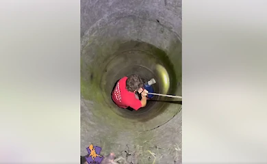 Лисеня впало у глибокий колодязь без води: що сталося далі