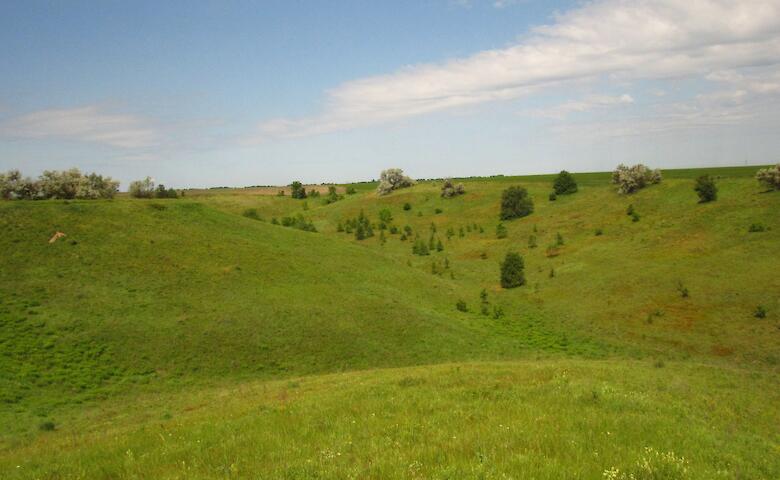 "Денисенков яр": оазис дикой природы на Обуховщине