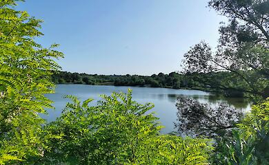 В Обуховском пруду обнаружили опасные микроорганизмы