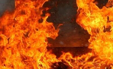 фото иллюстративное