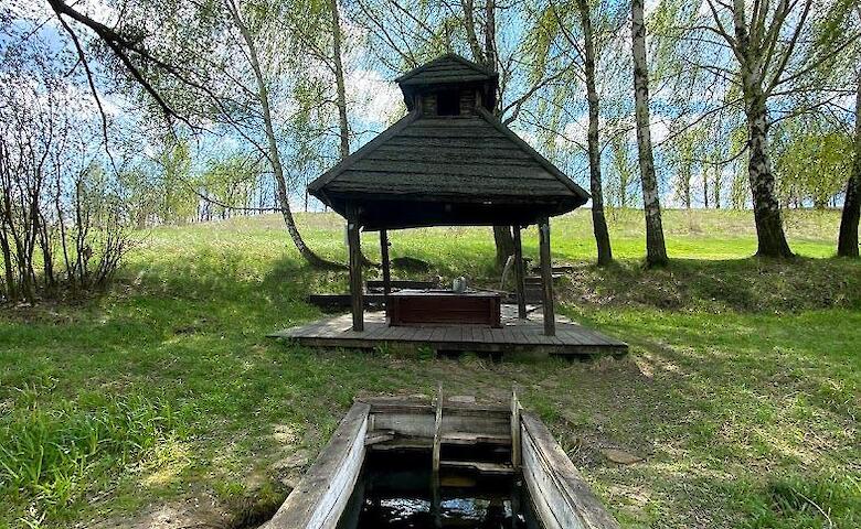 Малі Дмитровичі: громада, котра першою позбулася московського попа