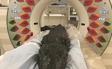 Технології дозволили визначити причину смерті крокодила часів фараонів