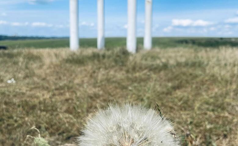 Медвин: село с вековой историей и несокрушимым духом