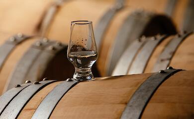 Винодельческое предприятие на Обуховщине ищет помощника винодела