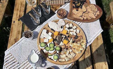 В Обуховском районе появилась новая эко-ферма: производит крафтовый сыр и вино