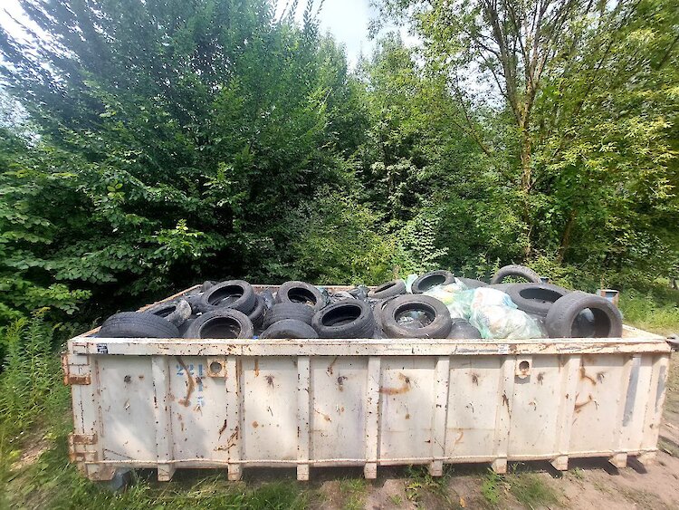 Во время уборки киевского парка нашли остатки вражеского дрона во время уборки