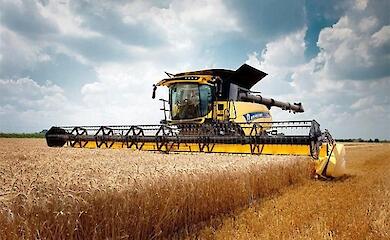 Обуховщина в тройке лидеров Киевщины по количеству собранного в этом году урожая зерновых и зернобобовых