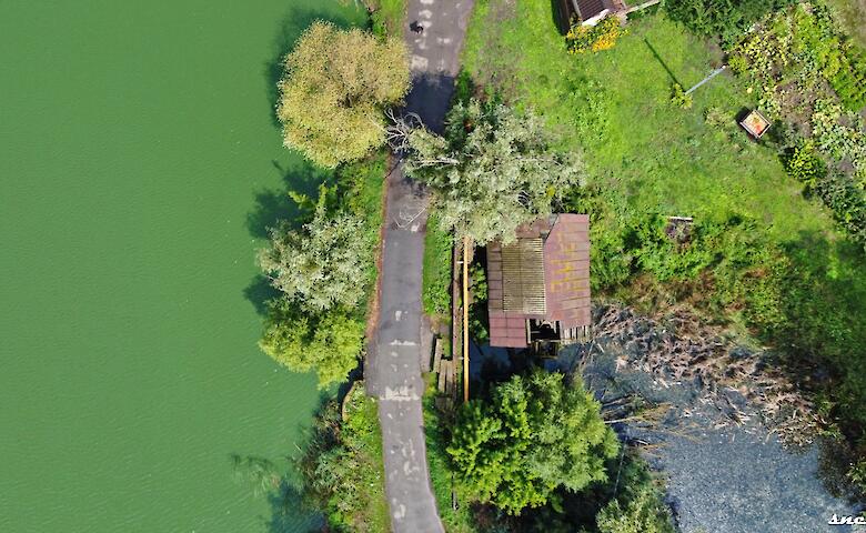 Столетняя деревянная мельница вблизи Обухова - последняя живая мельница на Киевщине