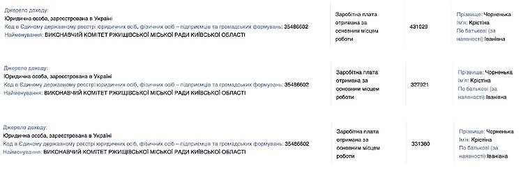 Руководительница Ржищева подала почти пустую декларацию