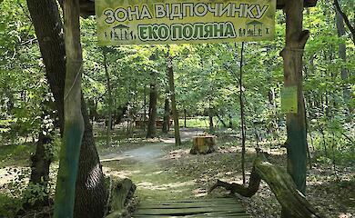 В Киеве есть тропа, где живут нимфы: как ее найти