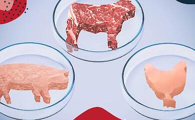 Искусственное мясо это будущее - животные живы, люди накормлены, все довольны