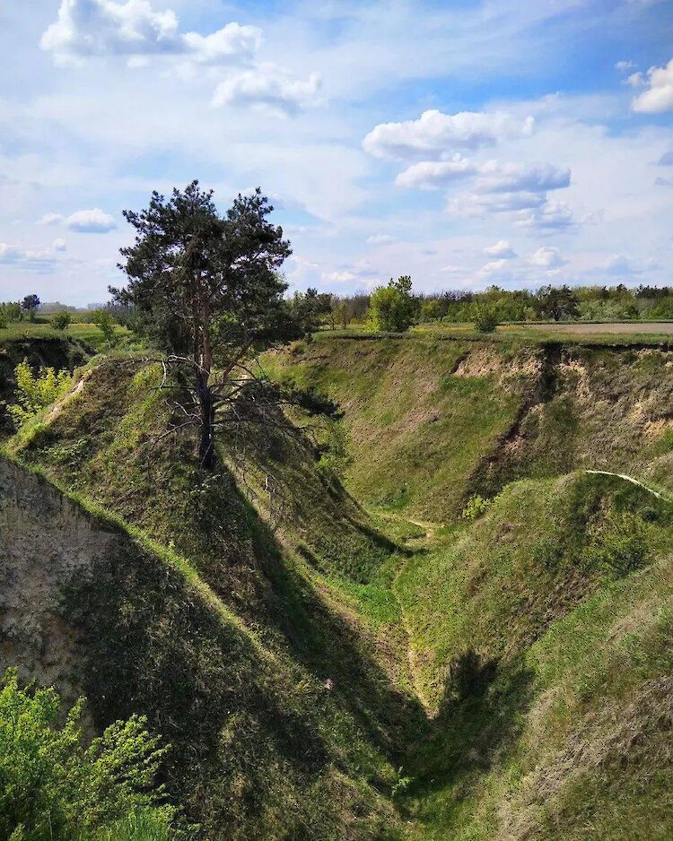 ТОП-7 самых очаровательных мест для фотосессии вблизи Обухова